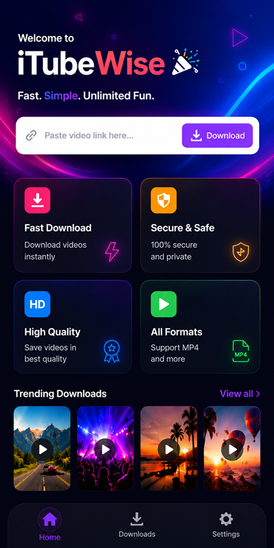 Instagram video downloader